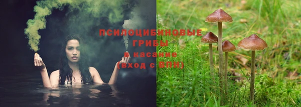 стаф Протвино
