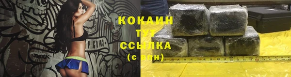 стаф Протвино
