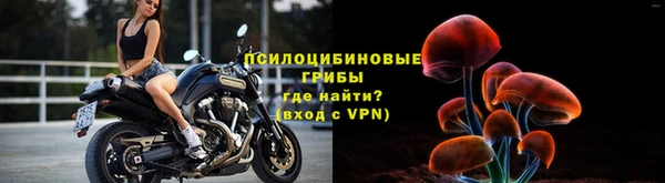 стаф Протвино