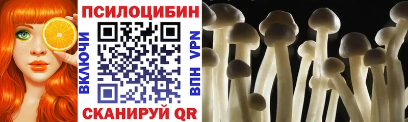 Псилоцибиновые грибы Psilocybine cubensis  Купить  Сенгилей 
